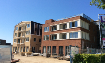 Borgerhof uit steigers.jpg