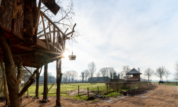 Boomhut Ansen 3.jpg
