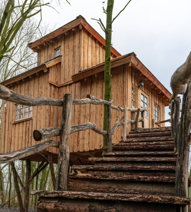 Boomhut Anderen 2.jpg