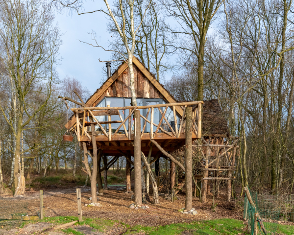 Boomhut Ansen 9.jpg