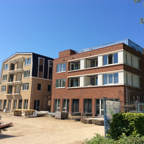 Borgerhof uit steigers.jpg